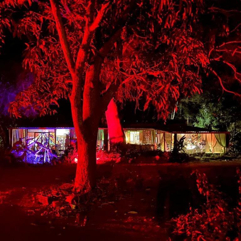 Отель Planta Glamp Farm Санта-Мария-Уатулько Экстерьер фото